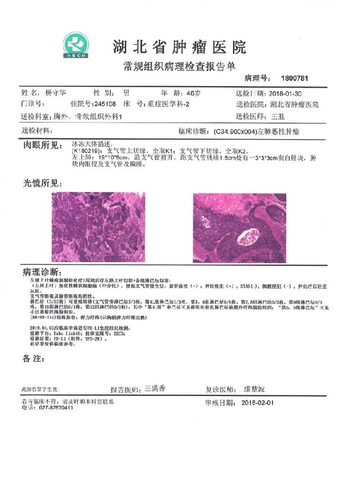 医用影像远程手术协助系统